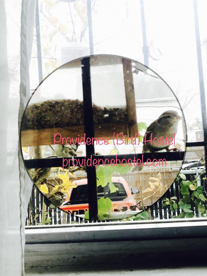 Providence Hostel & Guest House Ngoại thất bức ảnh